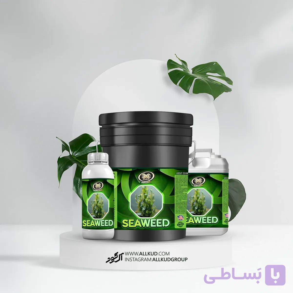 کود جلبک دریایی اکسپلود (تاییده ضمانت آنالیز)✅ — تصویر 1