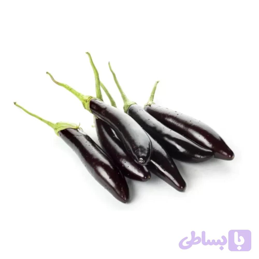 بذر بادمجان قلمی (کد ZOBP1)