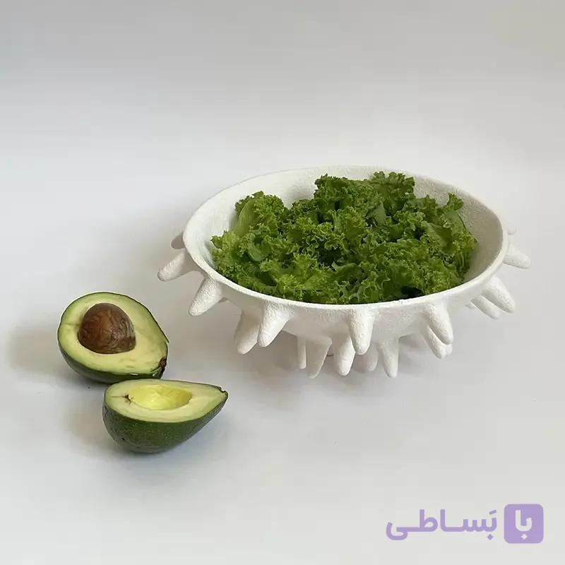کاسه کرنوتا — تصویر 1