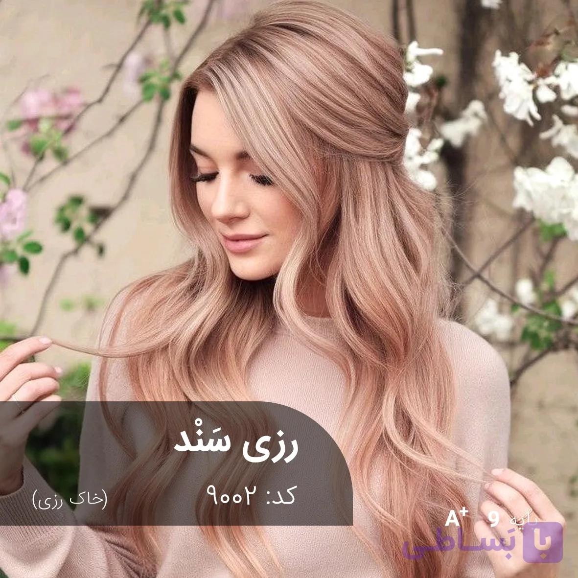 ترکیب رنگ رزی سند (خاک رزی) کد 9002 — تصویر 1