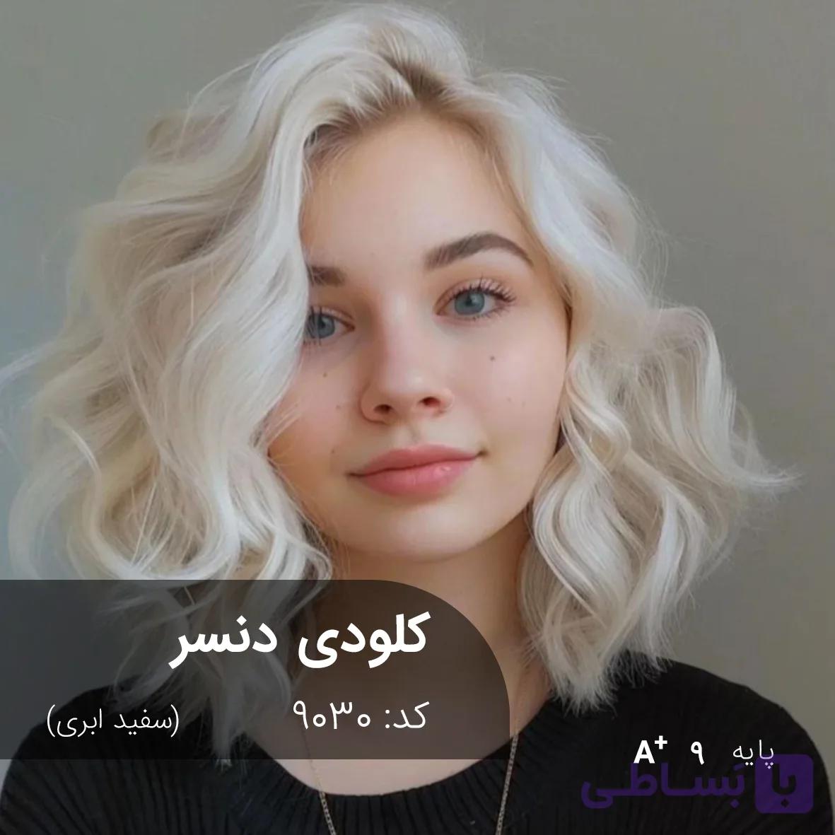 ترکیب رنگ کلودی دنسر (سفید ابری) کد 9030