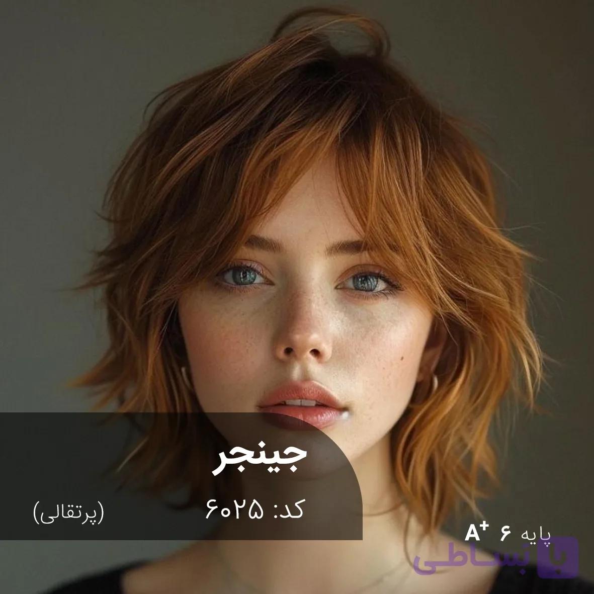 فرمول ترکیب رنگ جینجر (پرتقالی) کد 6025