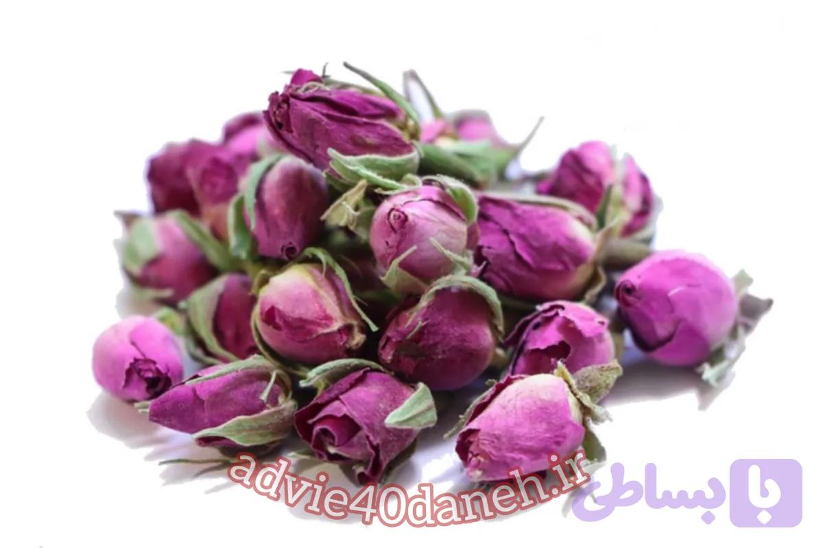 غنچه داراب