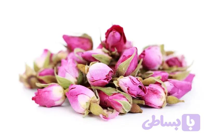 غنچه گل محمدی