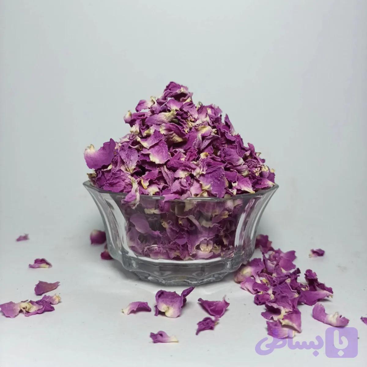 پر گل محمدی