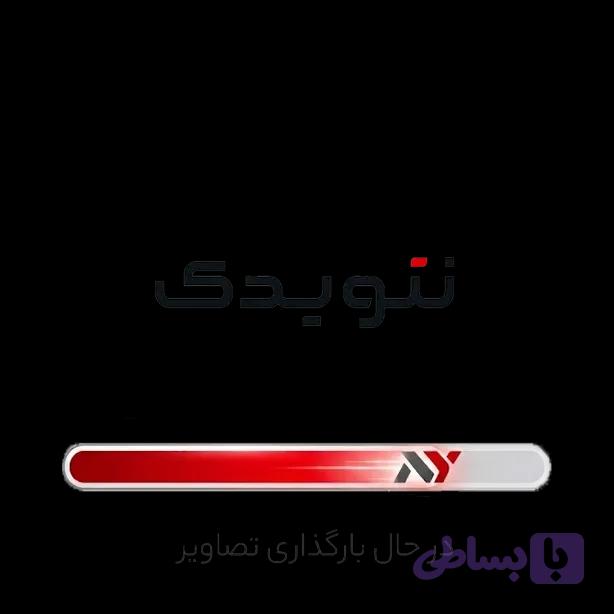 لنت ترمز جلو MVM X33 ورسی
