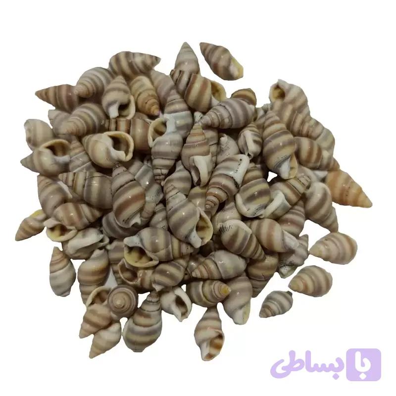صدف ریز طوسی(30گرم) مدل pkstt06