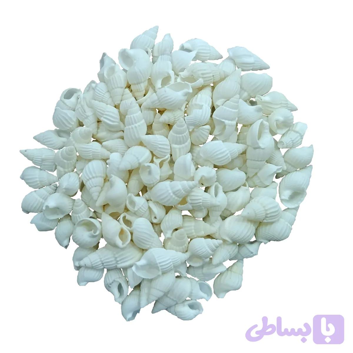 صدف ریز(30گرم) رنگ سفید مدلpkst05