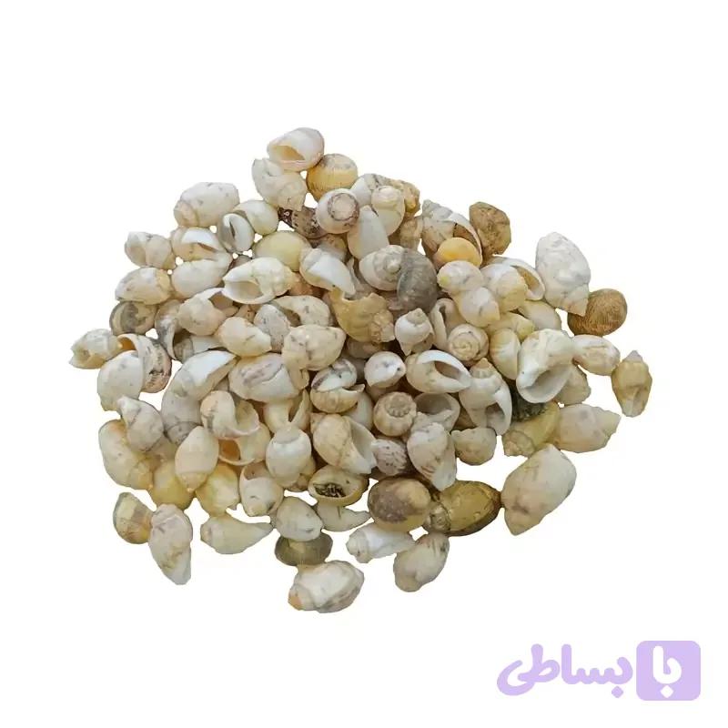 صدف ریز رنگ کرم(30گرم) مدل pkst04