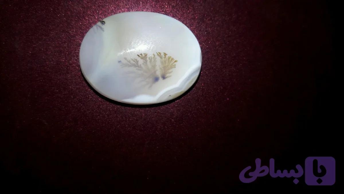 نگین درختی زیبا — تصویر 1