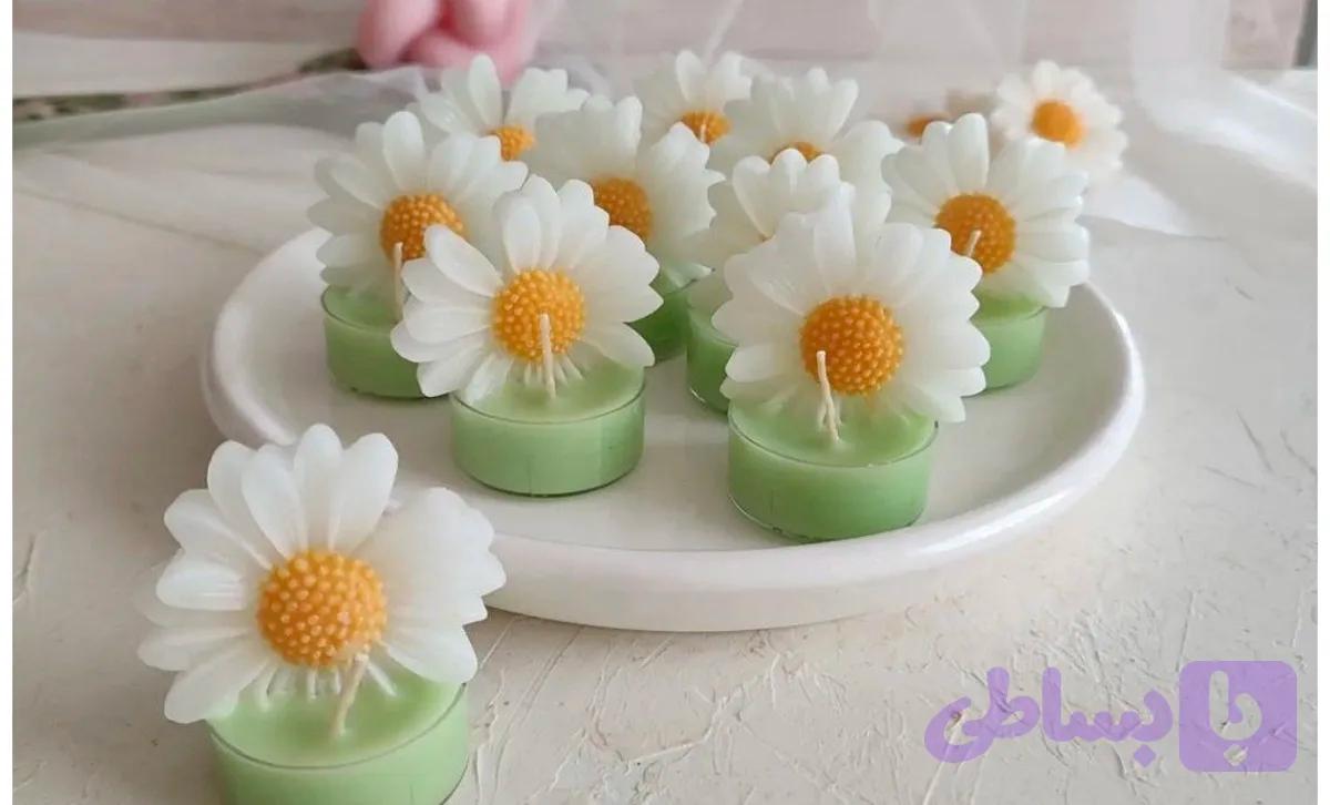گیفت شات بابونه