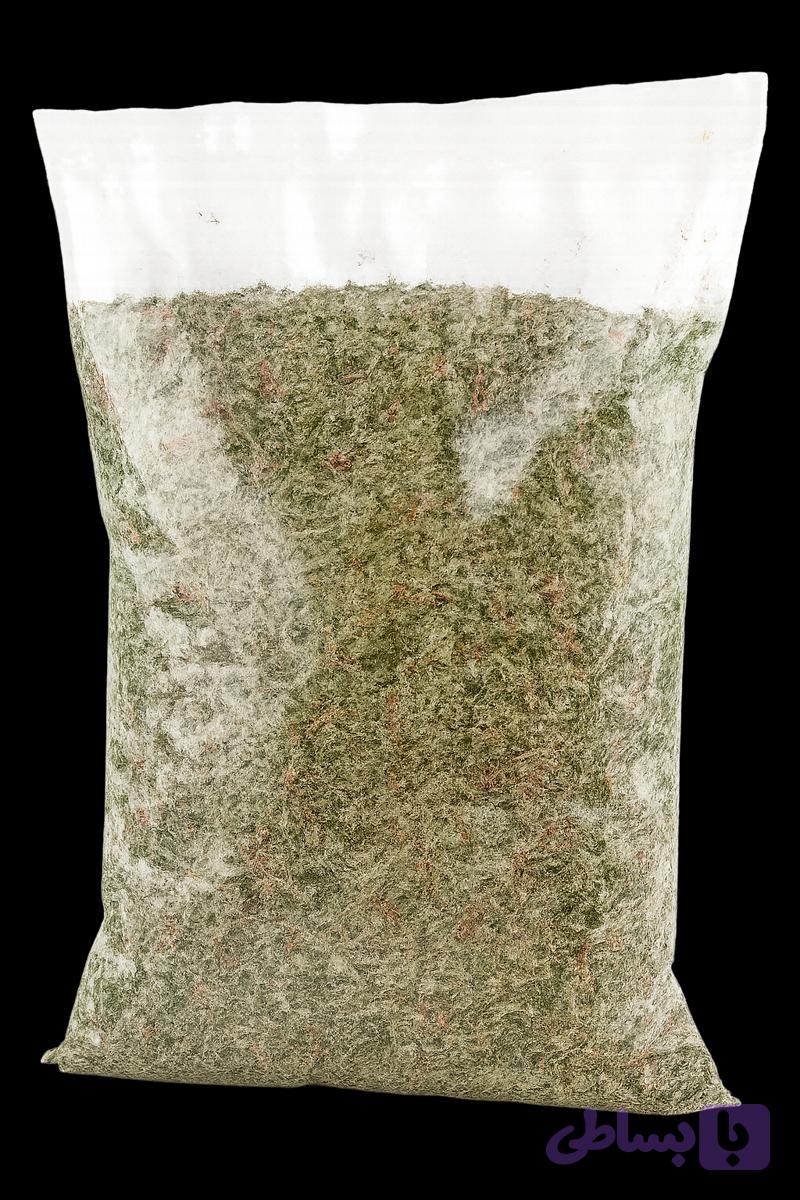شنبلیله خشک (کد YOVLA)