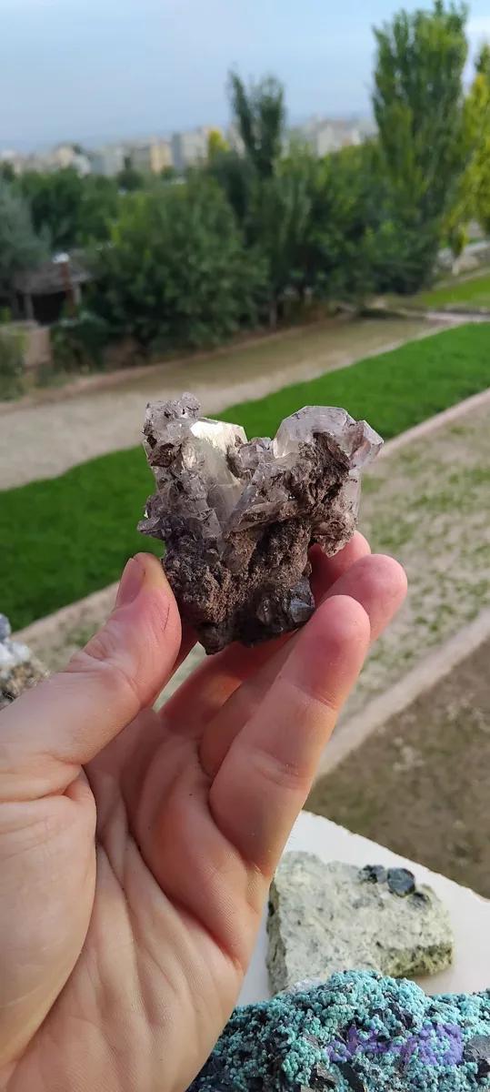 ژیپس