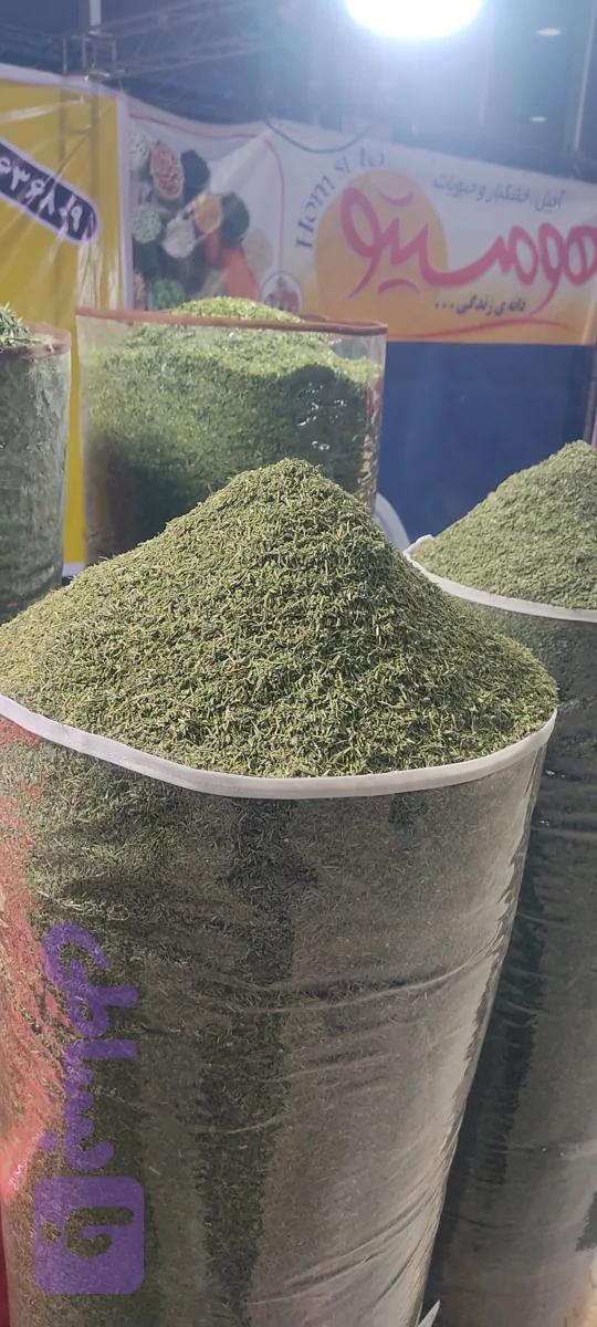 مرزه اعلا تازه 500گرمی