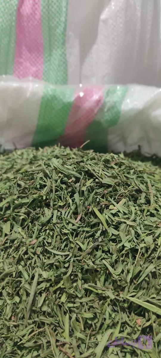 ترخون اعلا