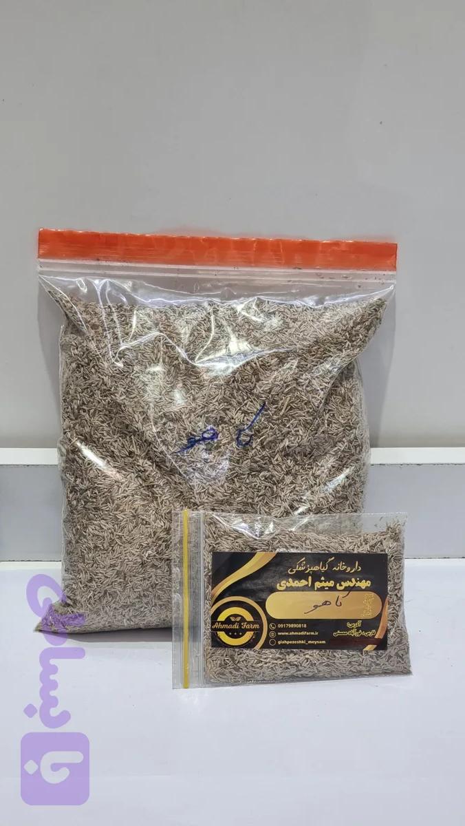 بذر کاهو زرقان
