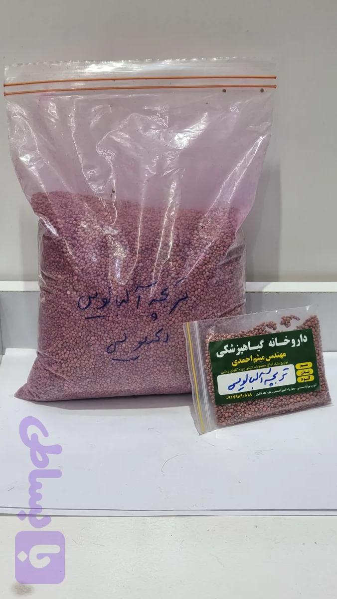 بذر تربچه آلبالویی