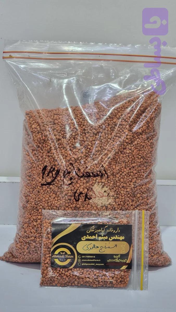 بذر اسفناج هلندی (کد QSQNS)