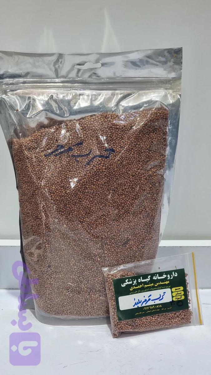 بذر ترب قرمز بلند