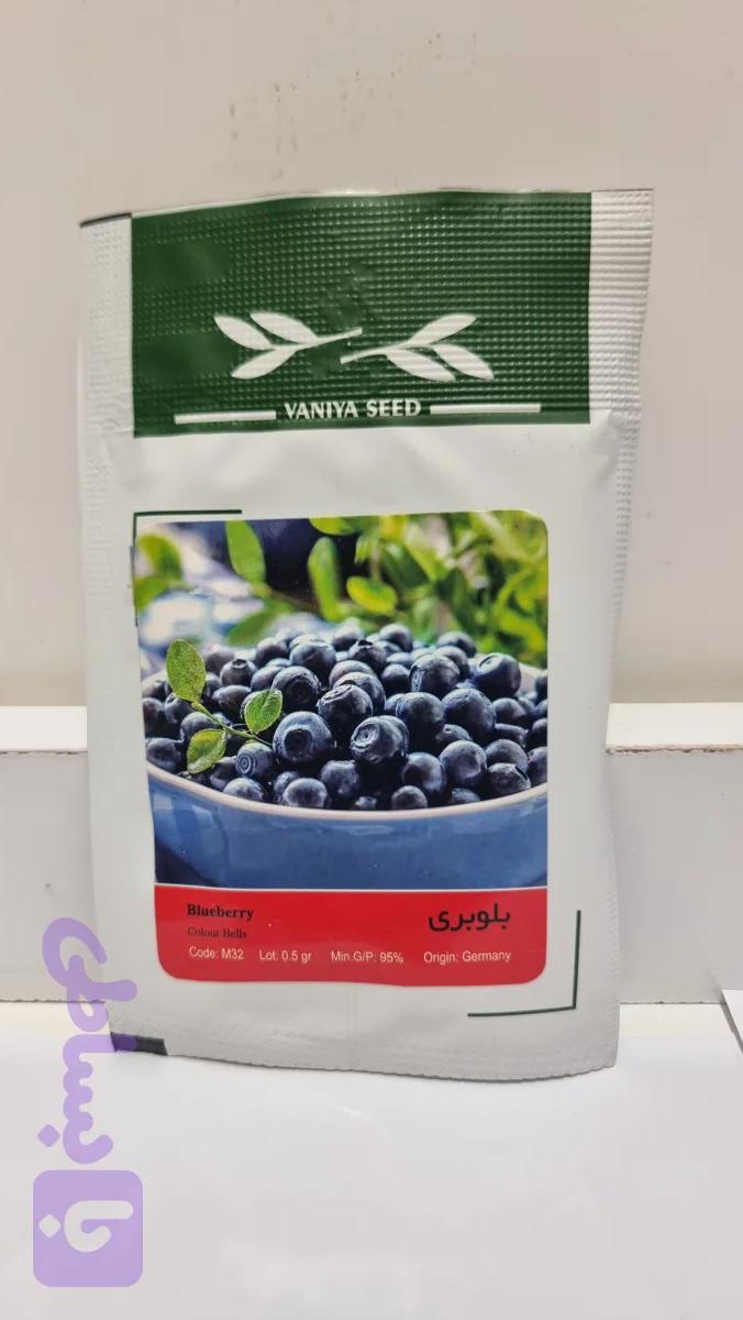 بذر بلوبری (کد 6OGVX)