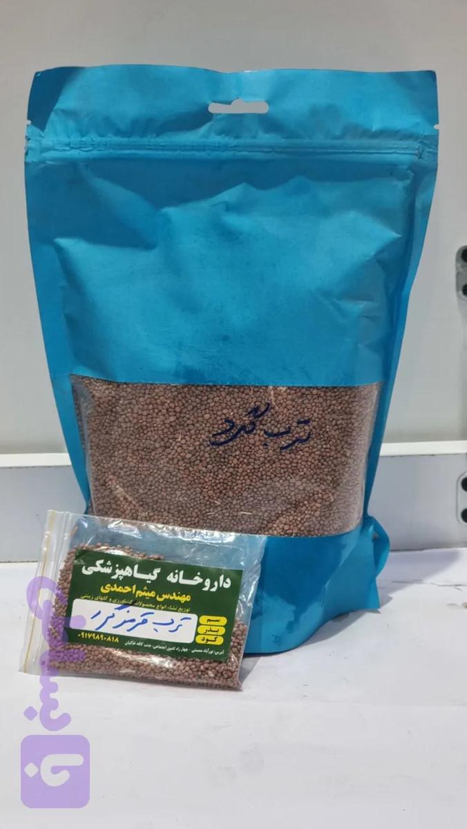 بذر ترب قرمز گرد