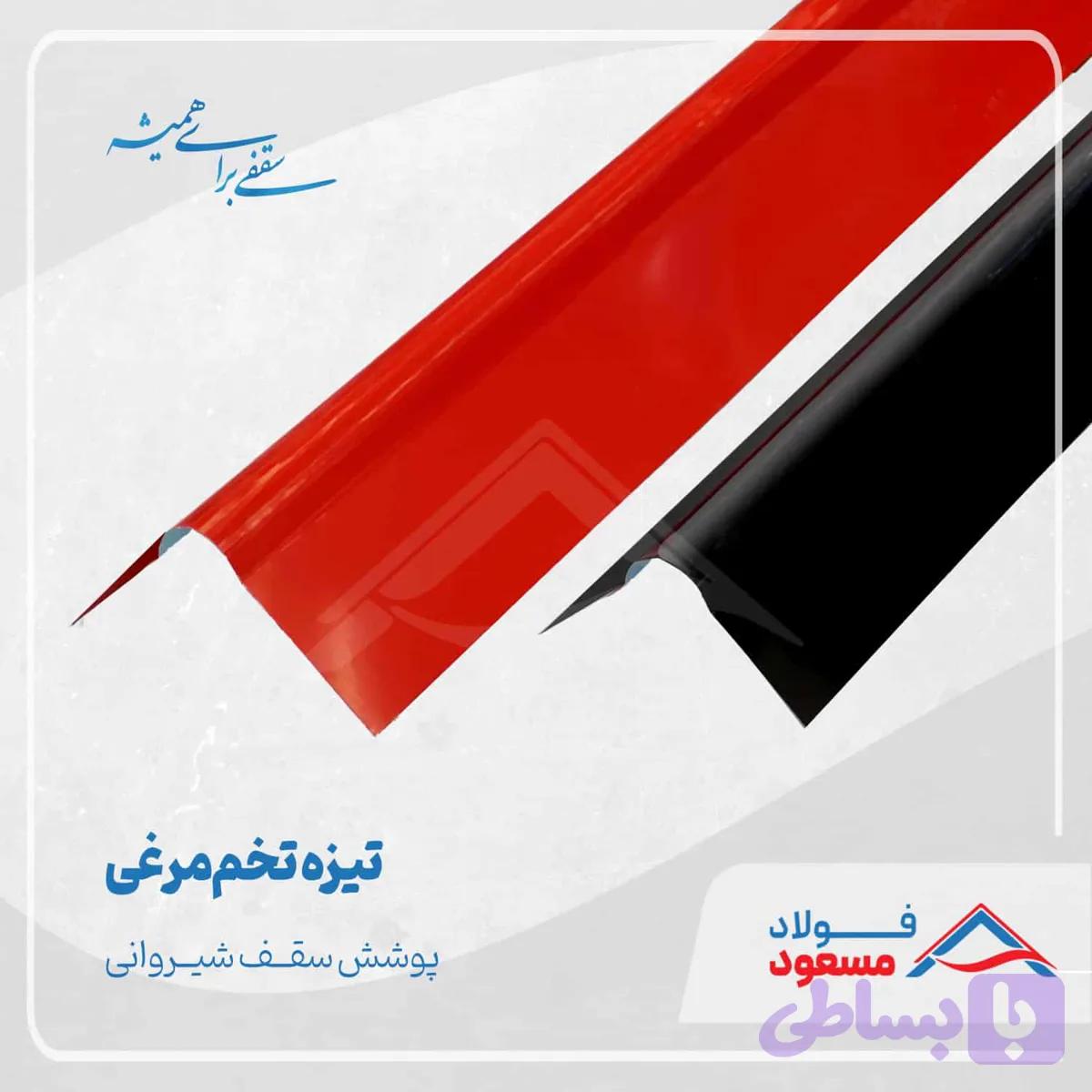 تیزه تخم مرغی — تصویر 1