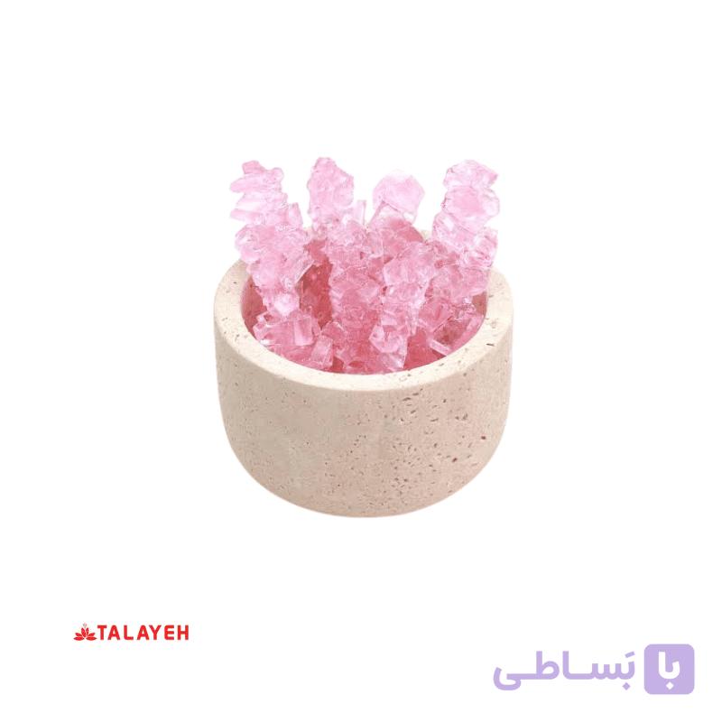 نبات شاخه گل محمدی یک کیلویی