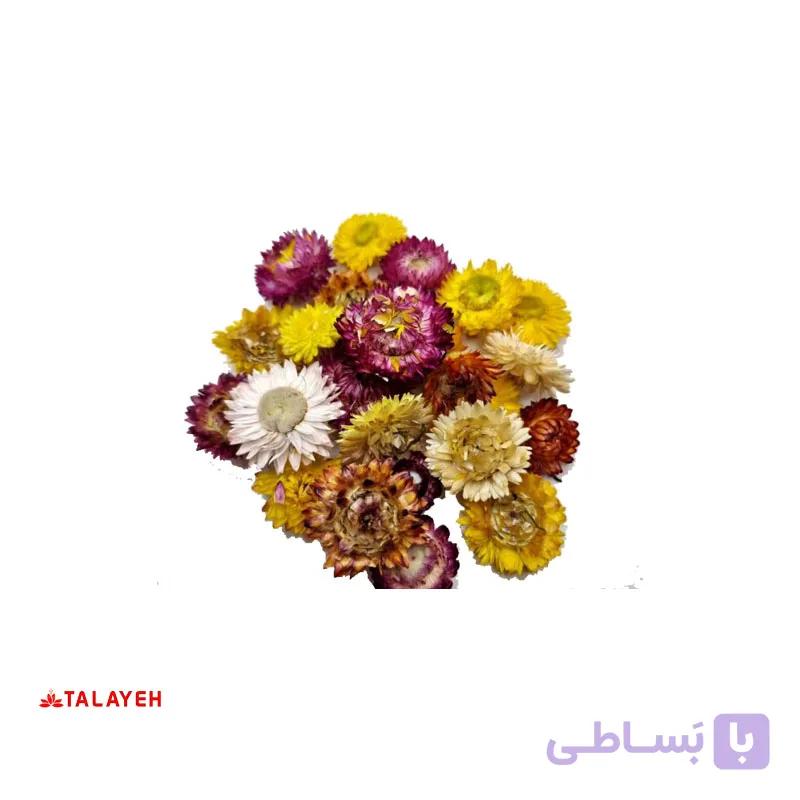 گل مینا نیم کیلویی