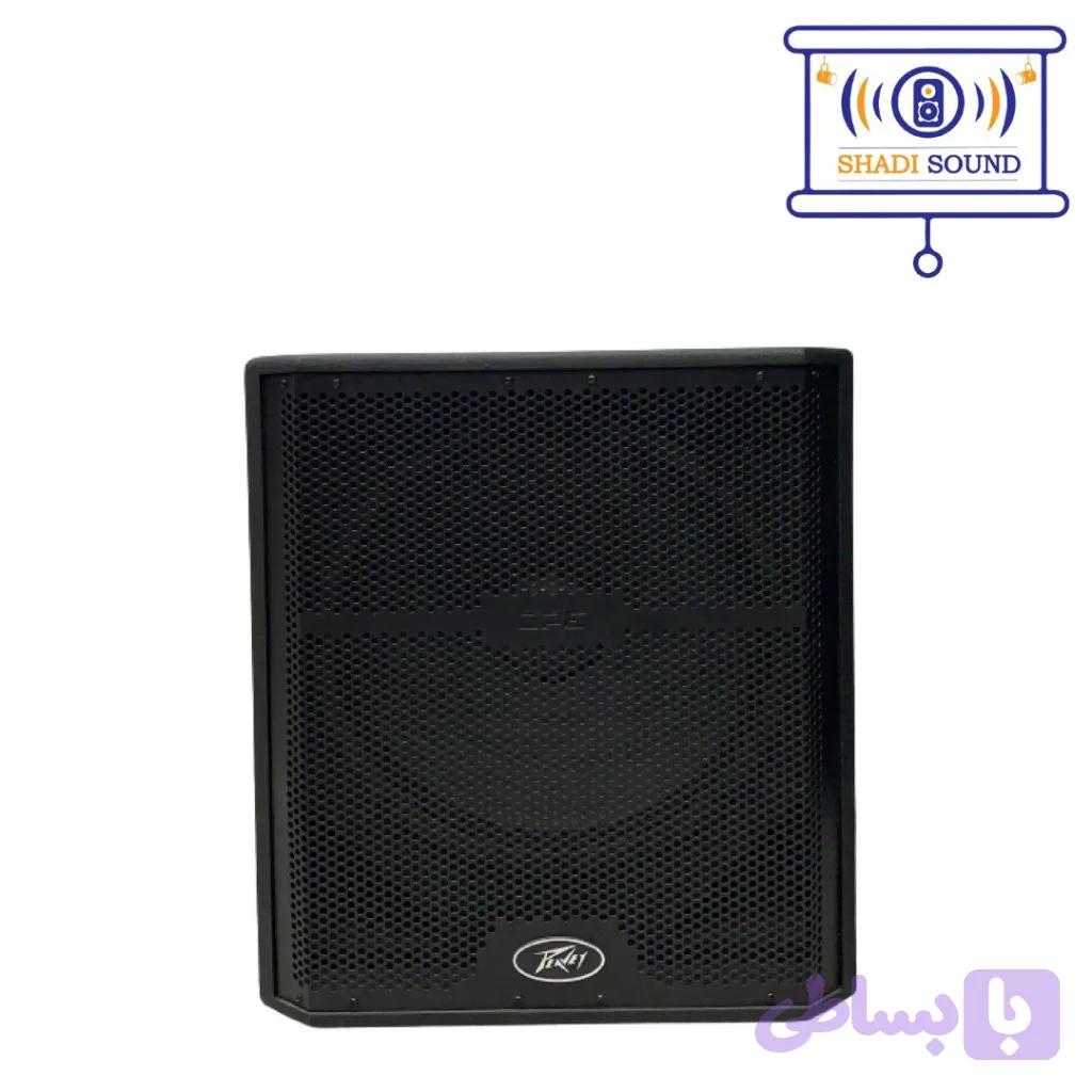 ساب peavey DPE 118P