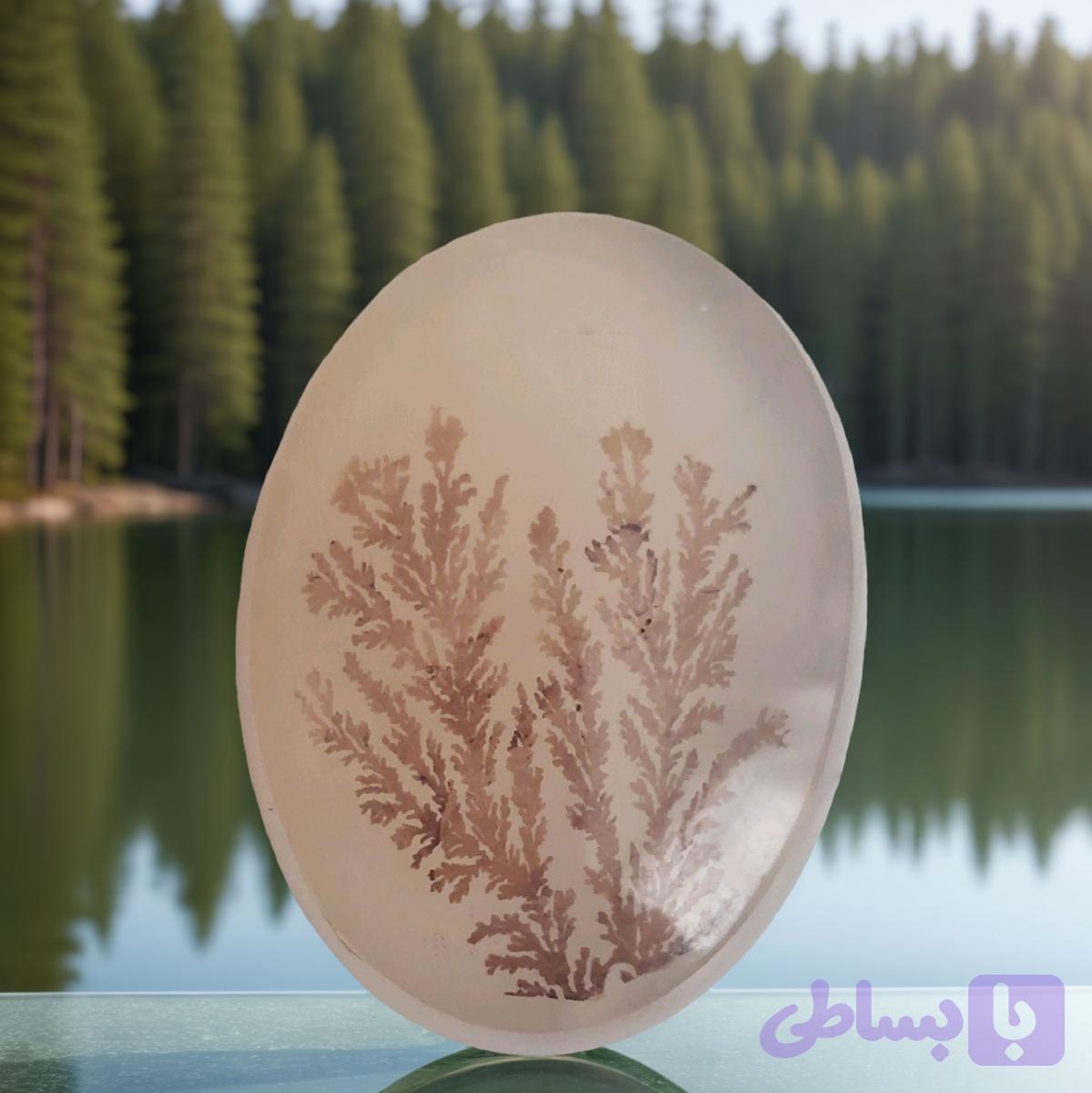 نگین عقیق شجر کد ۴۶۶