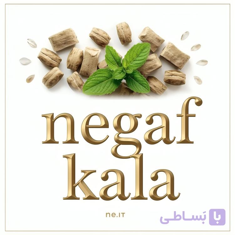 آدامس گیاهی سقز نعنا 20 — تصویر 1