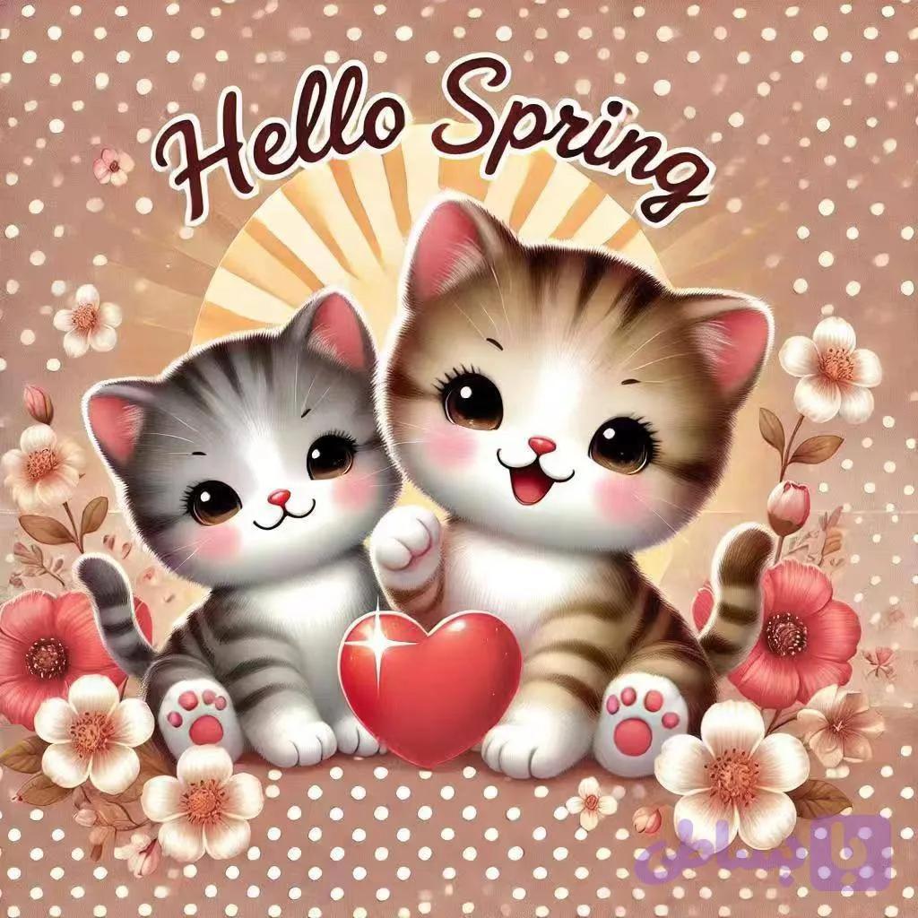 پتوبچگانه گربه ای