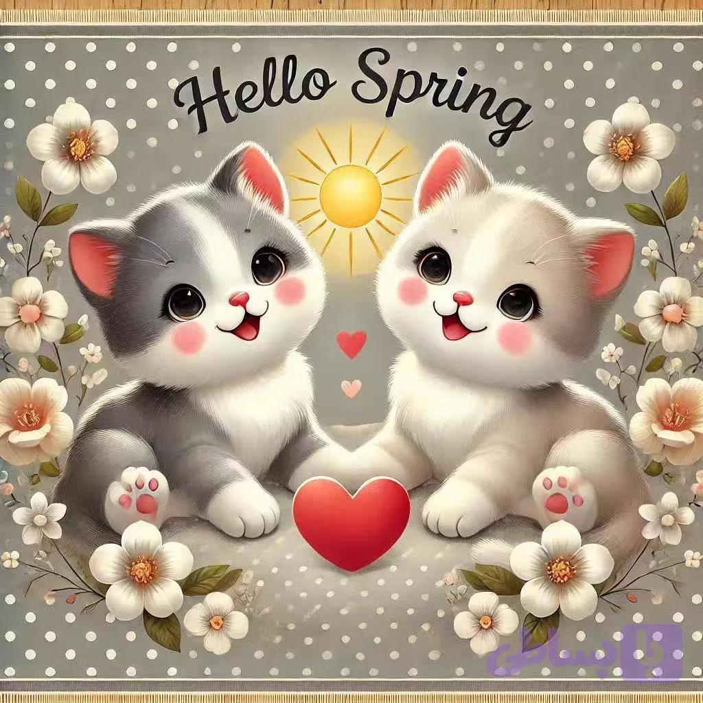 پتو بچگانه پاپی🐈‍⬛