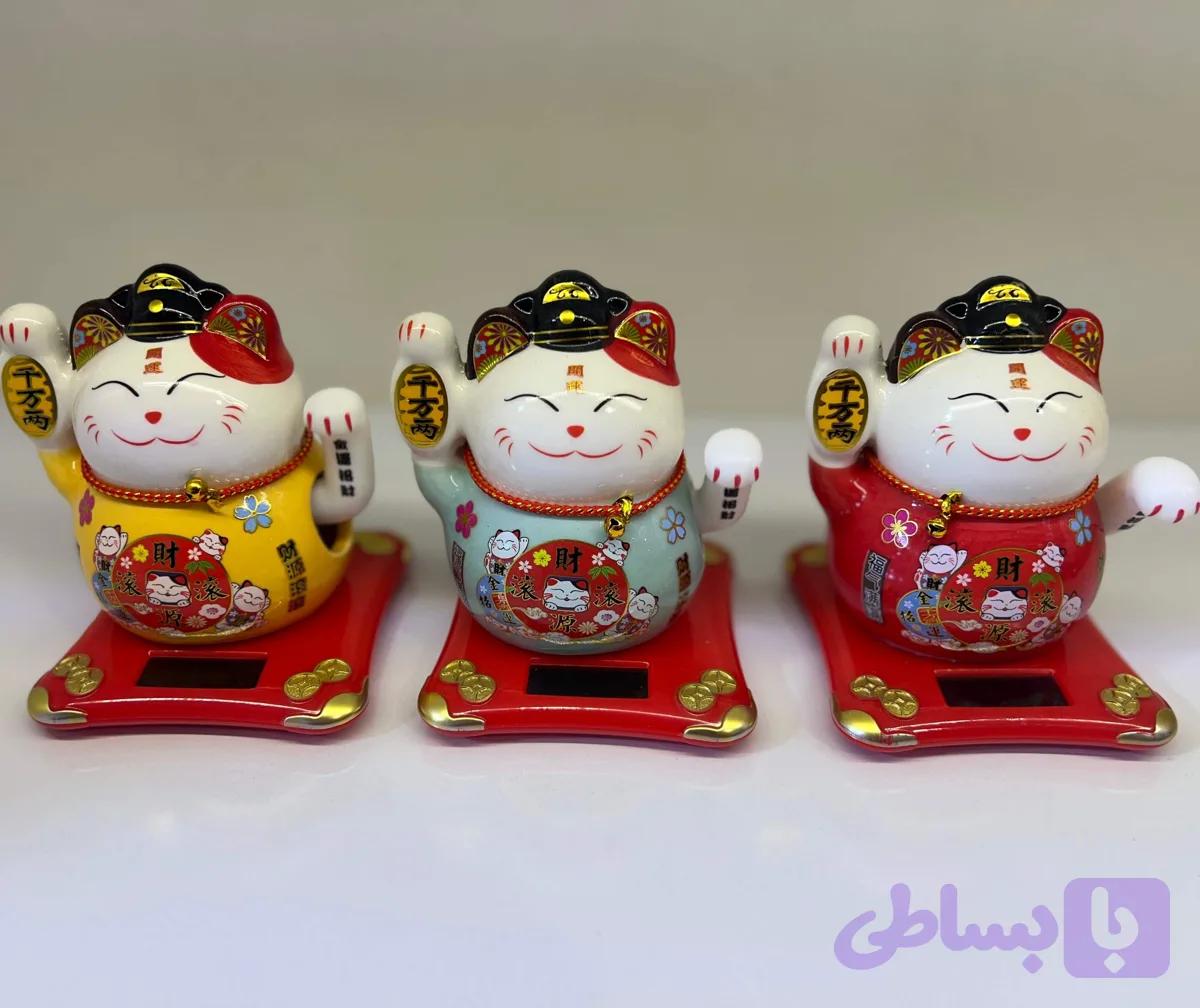گربه مانکی نکو