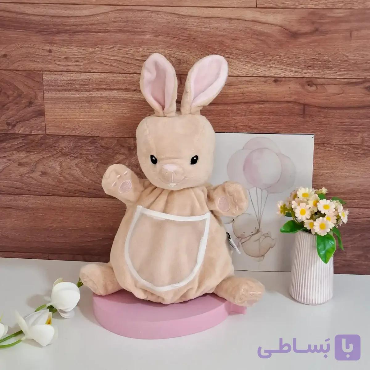 پاپت خرگوش پولیشی