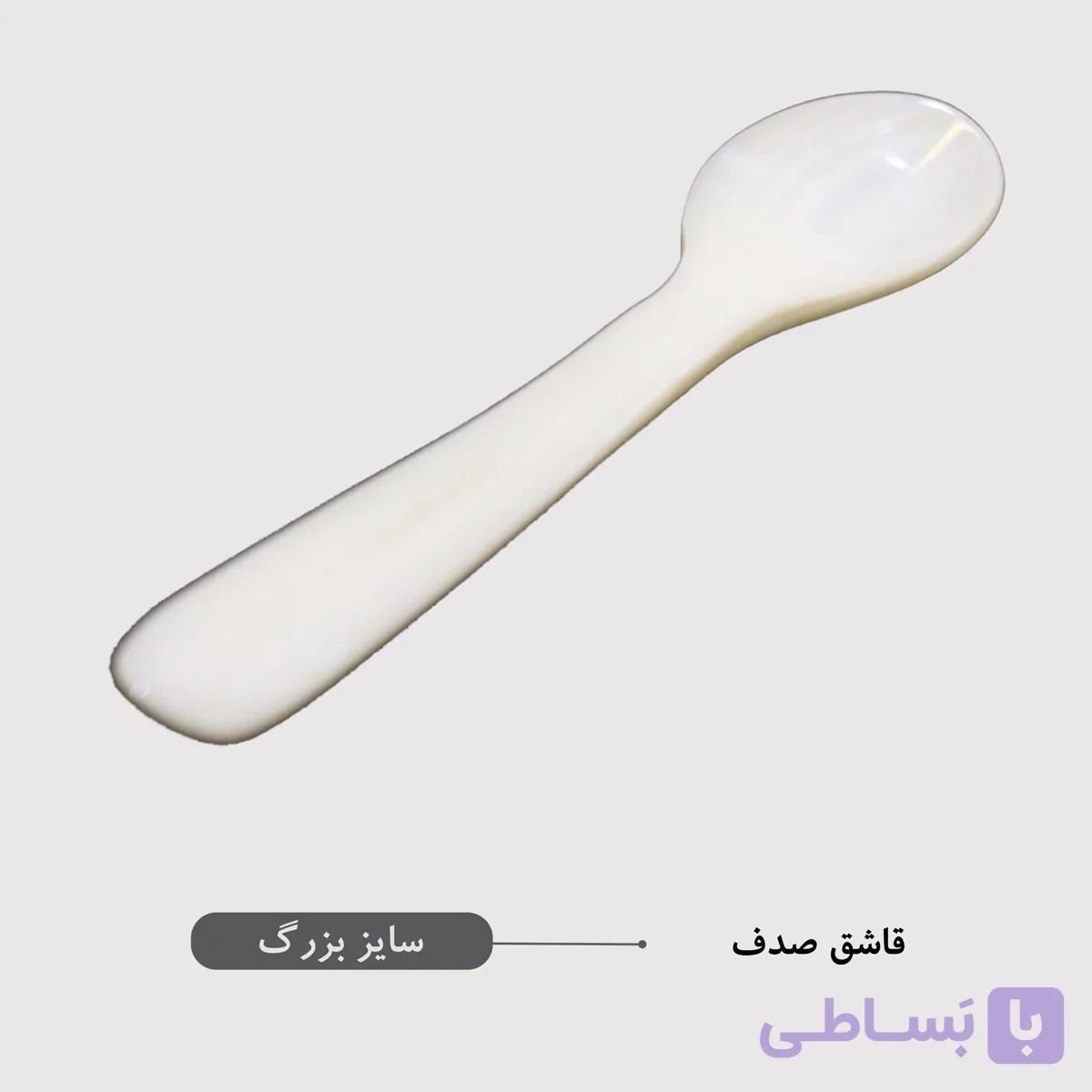 قاشق صدف — تصویر 1