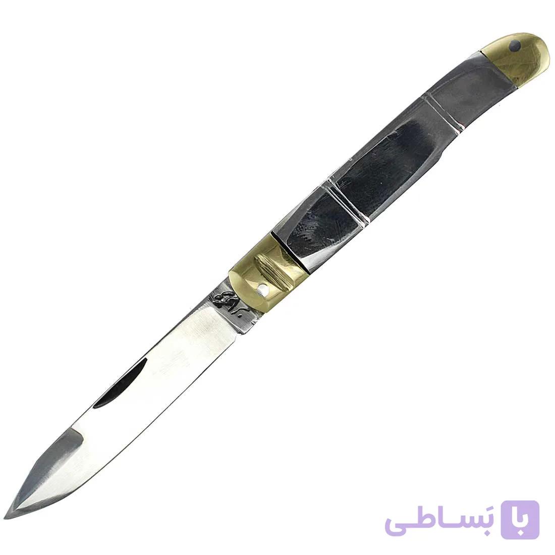 چاقوی میوه خوری جیبی تمام استیل ۱۳سانتی