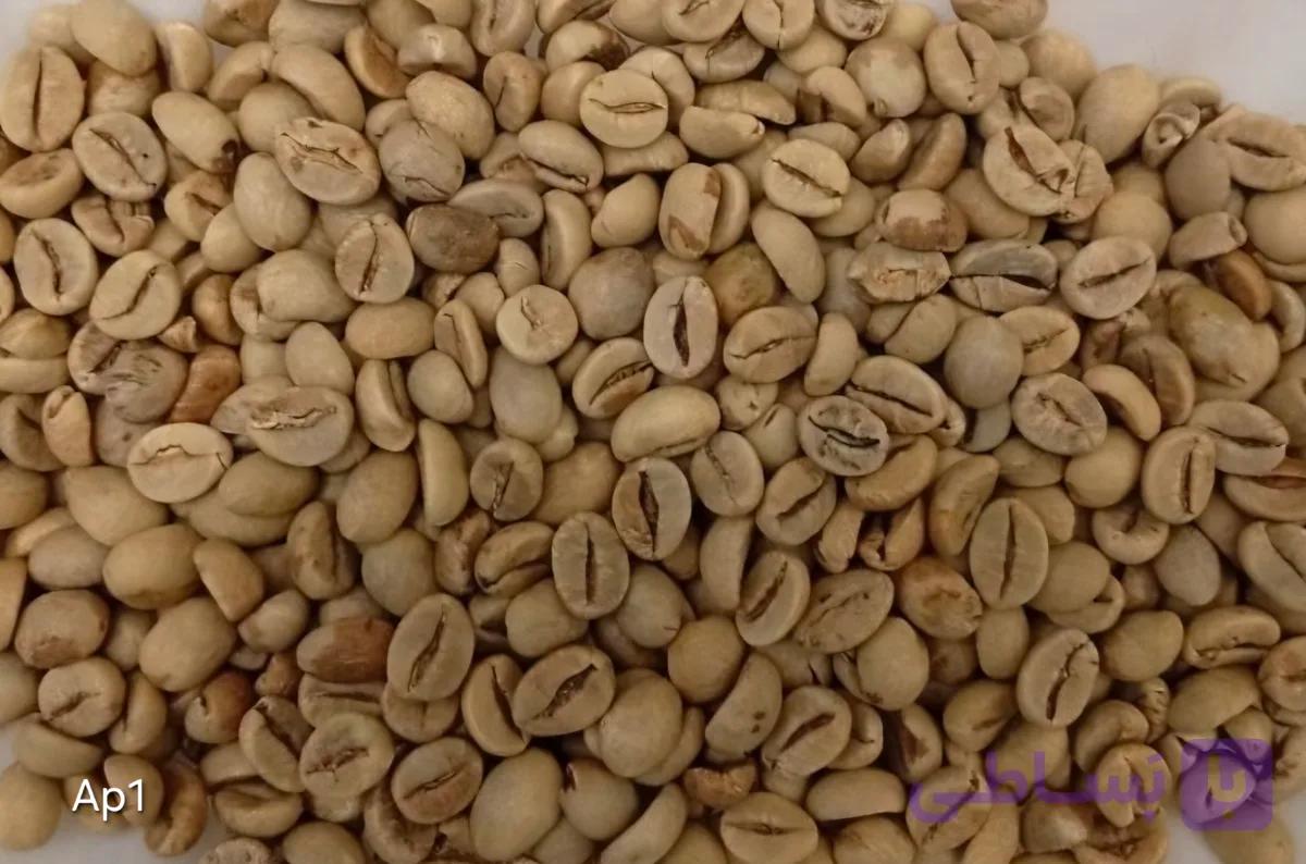 اندونزی Ap1