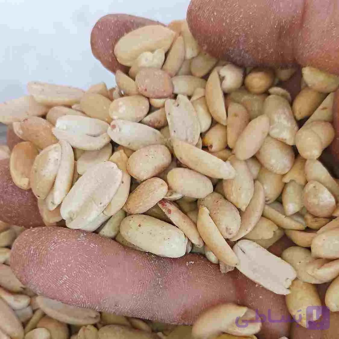 بادام زمینی کره گیری 20 کیلویی | مغان هوم