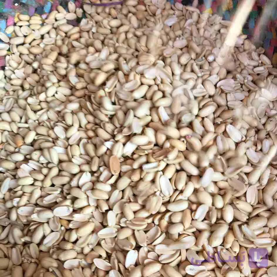 بادام زمینی کره گیری ۲۵ کیلویی | مغان هوم