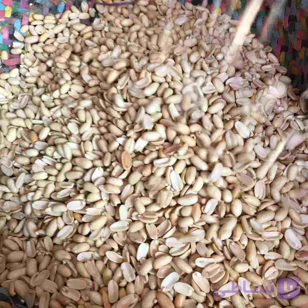 کره بادام زمینی 50 کیلویی | مغان هوم