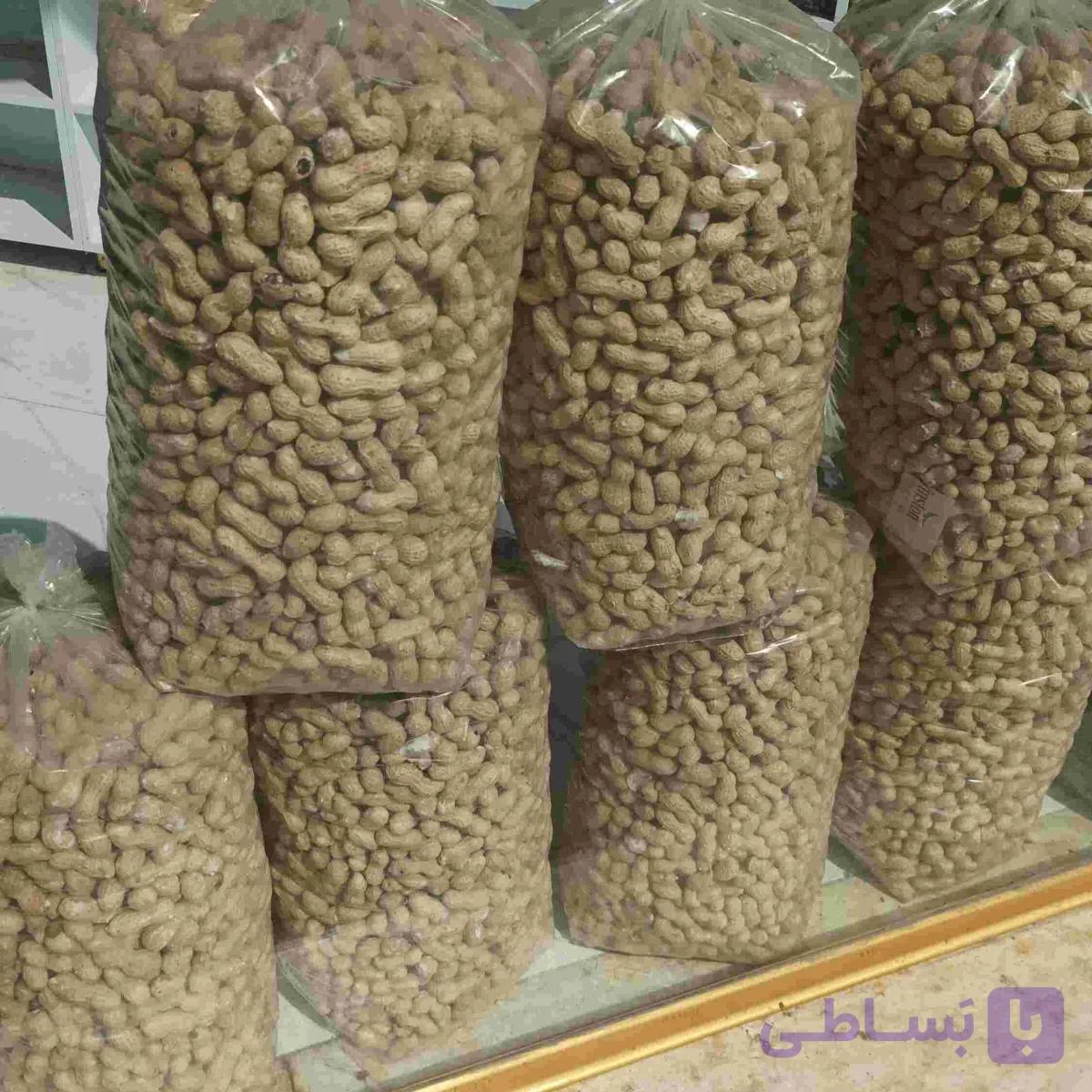 بادام زمینی غلاف شور 100 کیلویی | مغان هوم