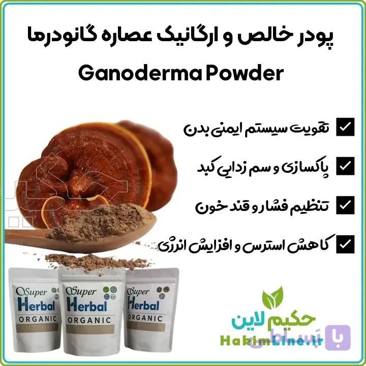 پودر قارچ گانودرما ریشی ژاپنی | آسیاب شده | ارگانیک و خالص (ضمانت اصالت کالا) — تصویر 1