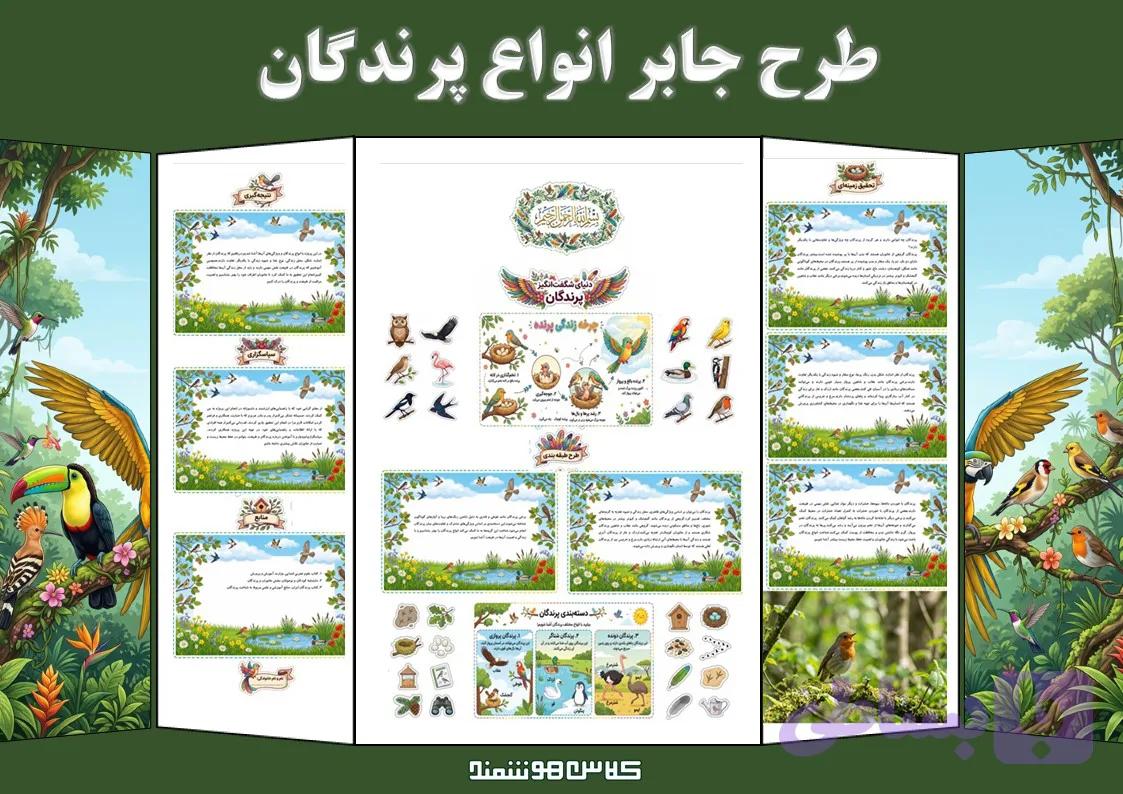 طرح جابر انواع پرندگان — تصویر 1