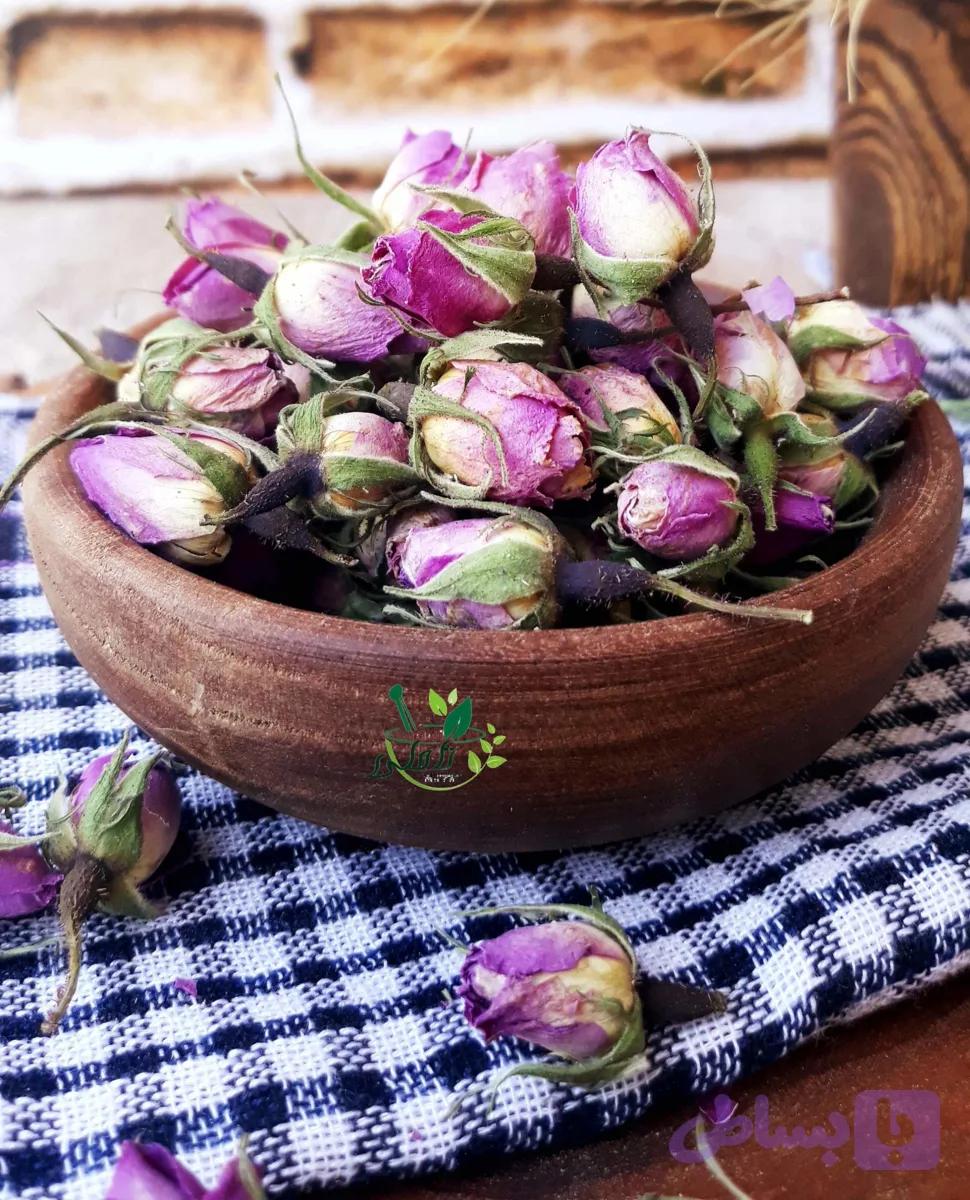 غنچه گل محمدی درجه یک تاملی