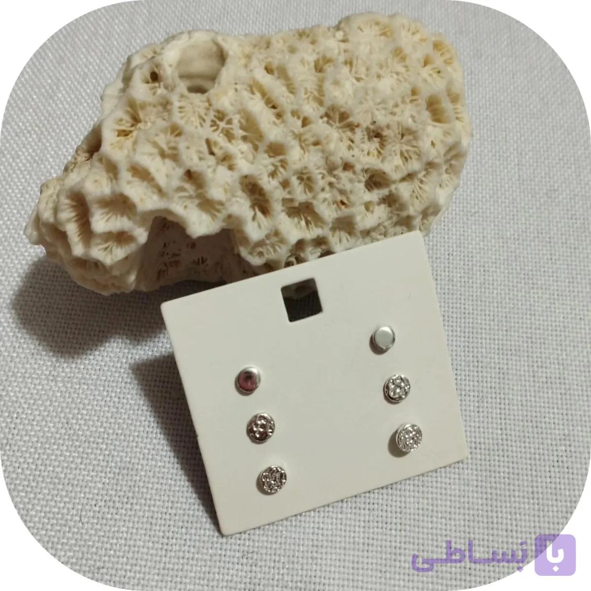 گوشواره میخی در ۲ طرح برند اروپایی