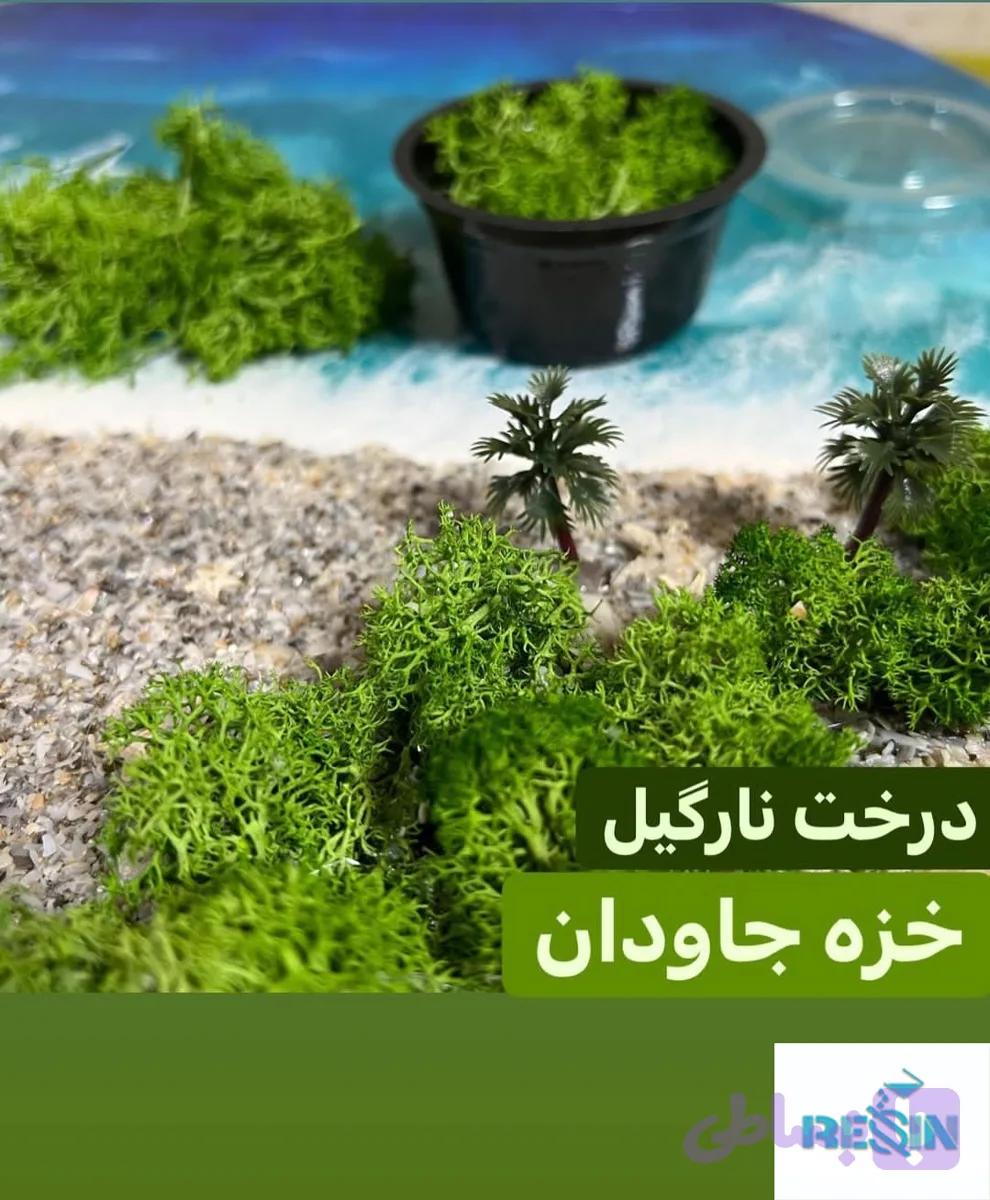 خزه — تصویر 1