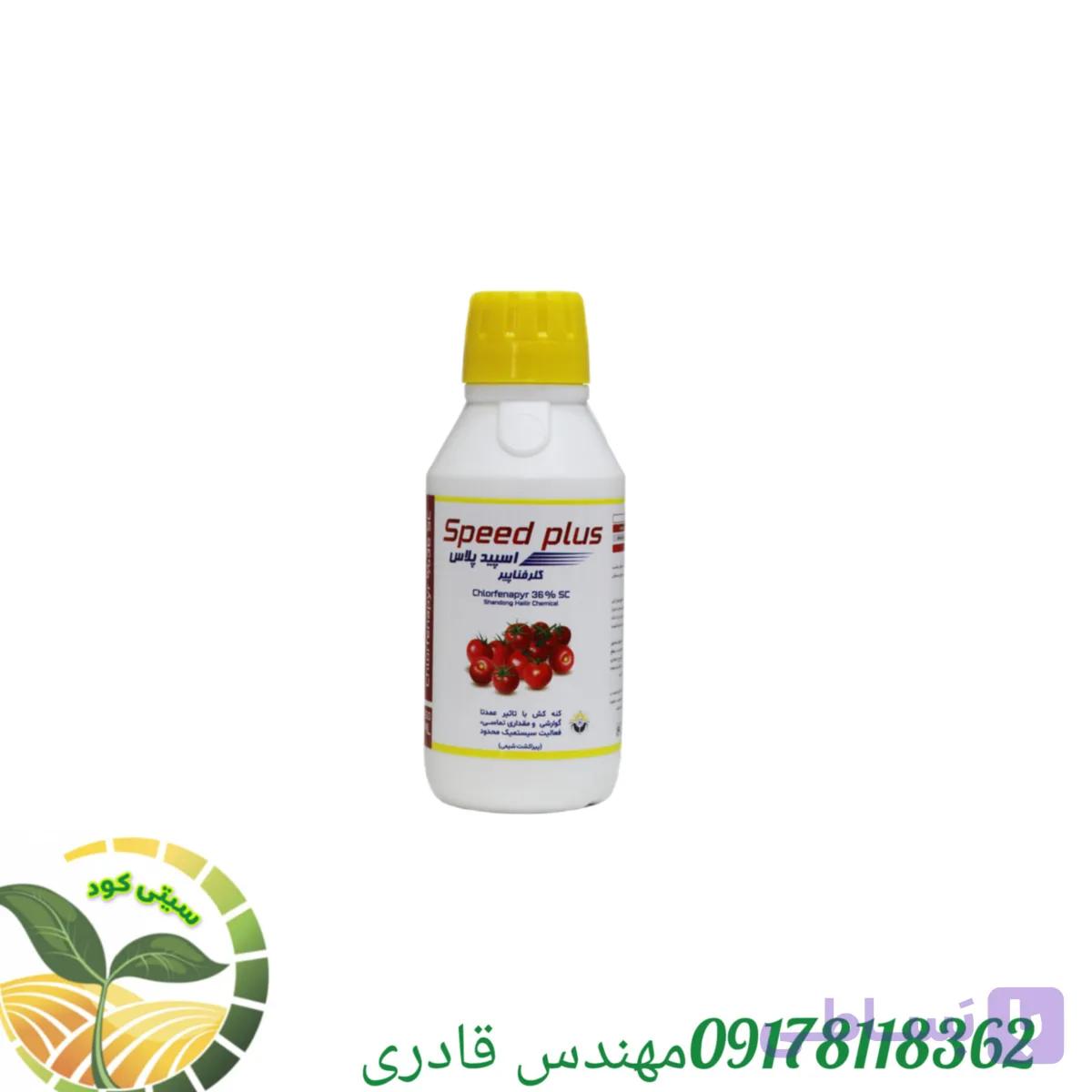سم کلرفناپیر _کانکور_کرون۳۶٪چینی واردات پیراکشت۲۵۰ سی سی