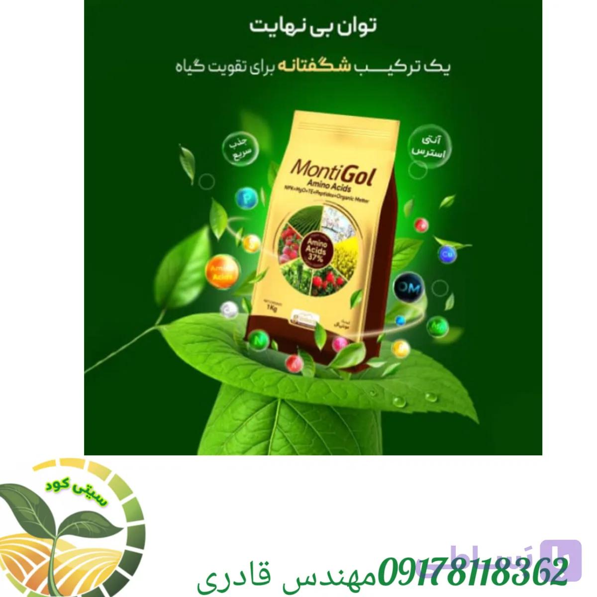 کود آمینو اسید مونتی گل گرونبرگ آلمان 1کیلویی — تصویر 1