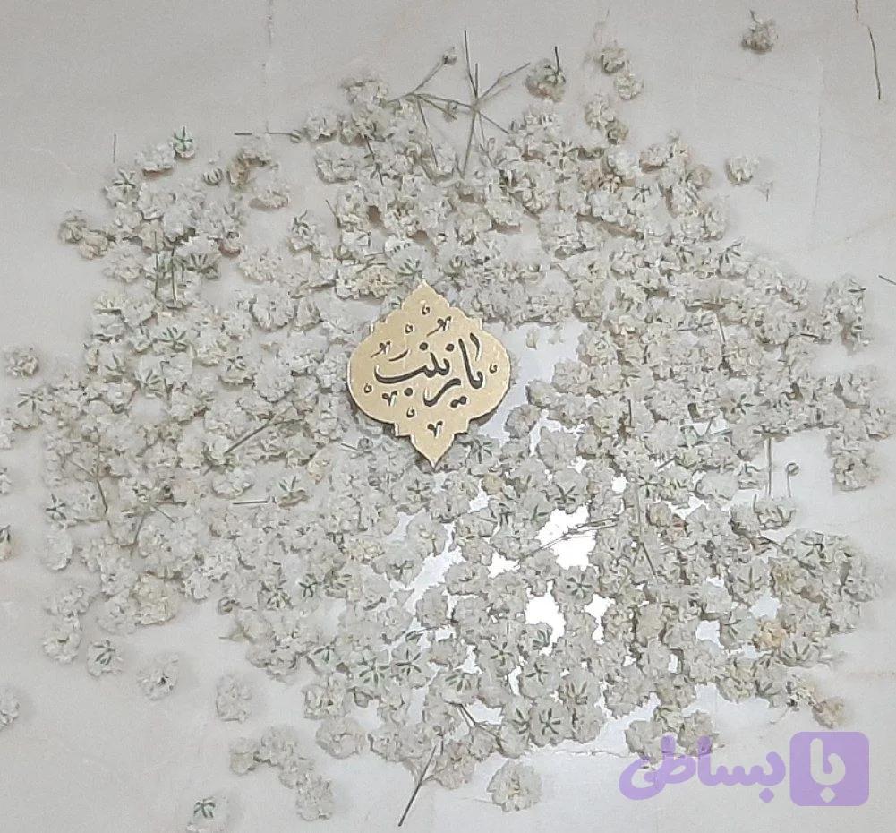 سنجاق سینه مدل ترنج